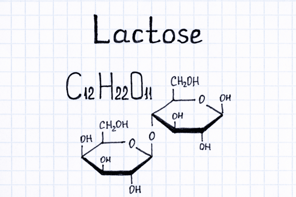 adding lactose to milk stouts