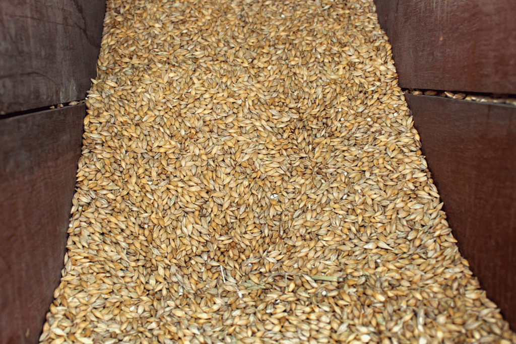Base grains for an American IPA