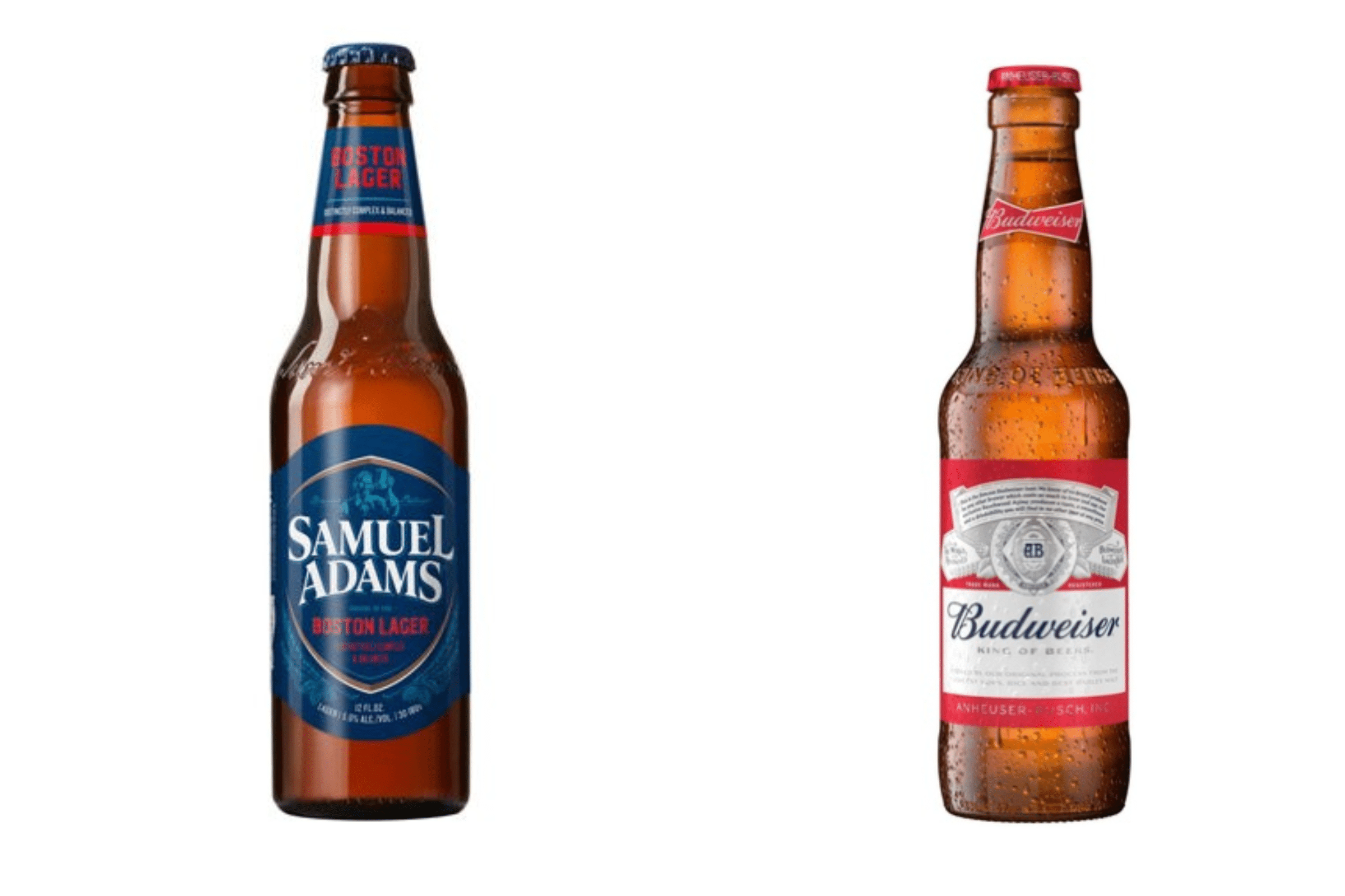 Sam Adams Boston Lager vs Budweiser - Taste, ABV, Calories, Carbs, Ingredients