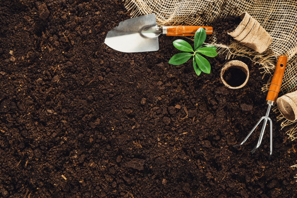 Add stale beer to your garden to improve the soil